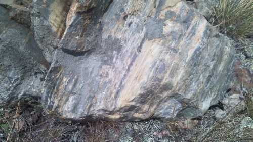 Гигантские зелёные валуны для ландшафтного дизайна весом более 5 тонн купить в Одинцово