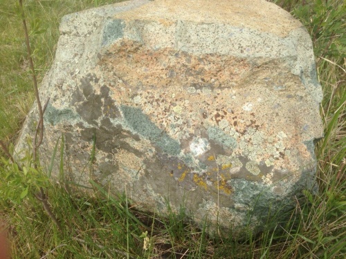 Гигантские зелёные валуны для ландшафтного дизайна весом более 5 тонн купить в Одинцово